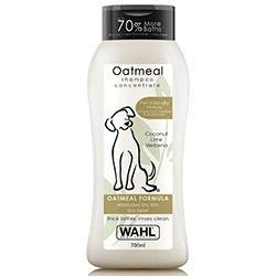 dog shampoo1
